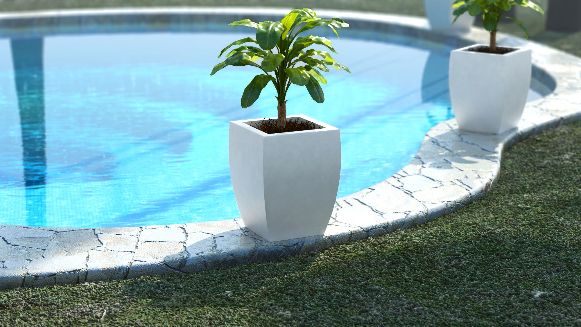 3d product rendering beautiful flower pot credo